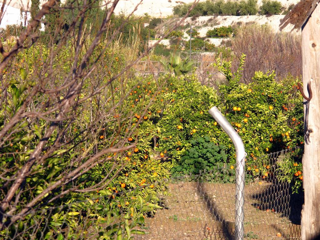 Sol Mediterraneo Hotel Archena Exterior foto